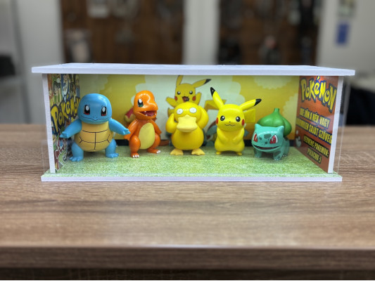 Pokemon themed diorama + with characters + unique photo and text  + with LED light