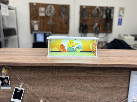Pokemon themed diorama + unique photo and text + with LED light