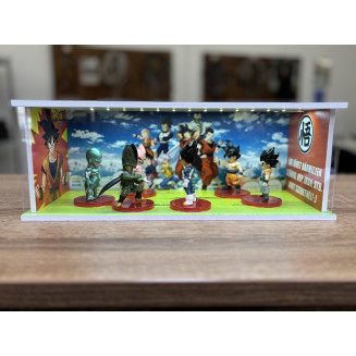 Dragon Ball themed diorama + unique photo and text + with LED light