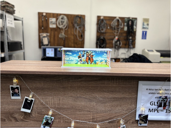 Dragon Ball themed diorama + with custom photo and text + with LED light