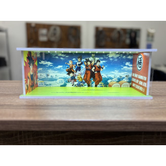 Dragon Ball themed diorama + with custom photo and text + with LED light
