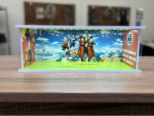 Dragon Ball themed diorama + with custom photo and text + with LED light