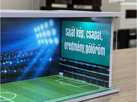 Football themed diorama 2, with Custom photo + text, with LED light